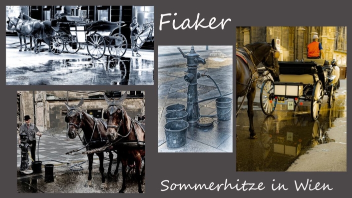Srb Gerhard_Fiaker_Tableau_25 P