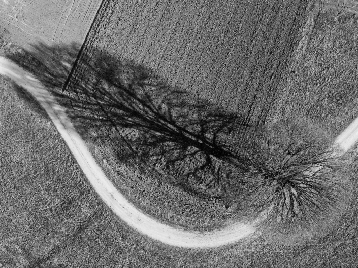 Ratay Franz_Vogelperspektive Baum_SW_26 Pkte