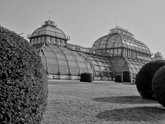 Armer Christine_Palmenhaus_26 Pkte