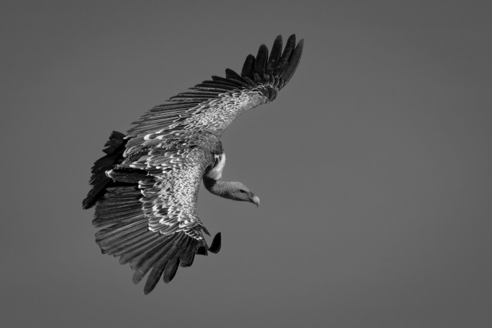 Ratay Franz_Landeanflug_28 Pkte