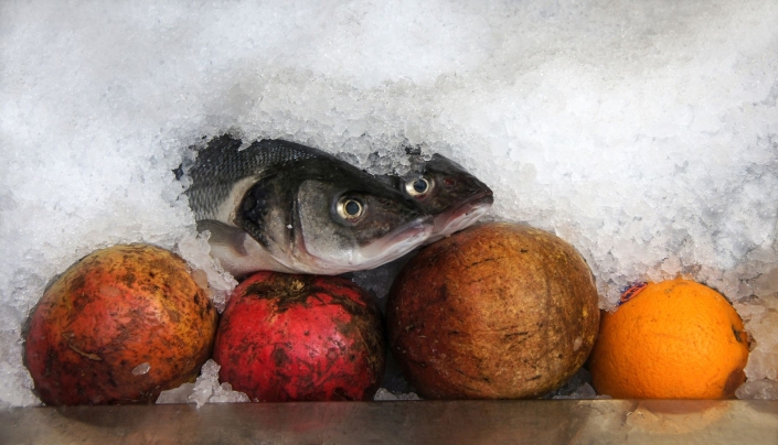 Lüdemann Horst_Fischköpfe_27 P.